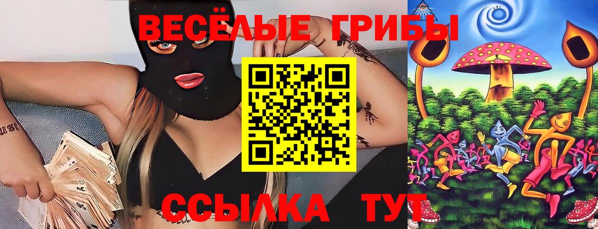 Кудрово  Псилоцибиновые грибы прущие грибы  Вход с VPN 